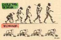 evolution.jpg